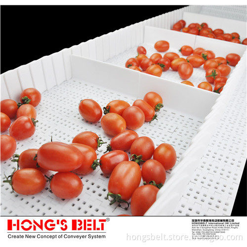 The Fruit Industry Food Grade Modular Conveyor Belt (HS-200B)